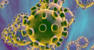 چگونه از ابتلا به ویروس کرونا پیشگیری کنیم؟/ بیانیه مجمع عالی طب اسلامی ایرانی