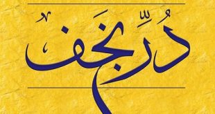 «دُرّ نجف»؛ گزیده‌ای از آثار فقهی استاد سیدمحمدرضا سیستانی عرضه شد
