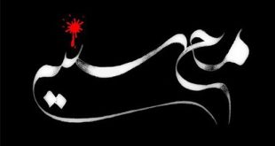 نسبت فقه امامیه با تأسیس دهه محسنیه/ محمدعلی ملک
