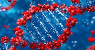 جواز و حظر در وادی جنین: تأملی فقهی بر «انتخاب جنسیت» و «غربالگری ژنتیکی پیش از لانه‌گزینی (PGD)/ علی کوه‌باد