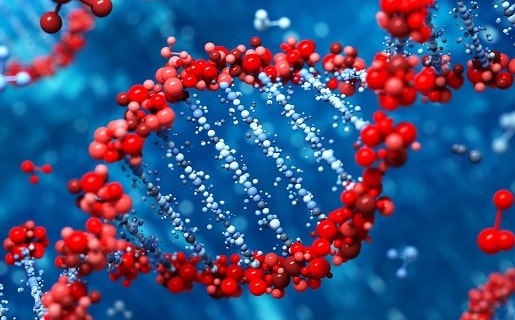 جواز و حظر در وادی جنین: تأملی فقهی بر «انتخاب جنسیت» و «غربالگری ژنتیکی پیش از لانه‌گزینی (PGD)/ علی کوه‌باد