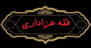 فقه و عزاداری/ حسین ادبی
