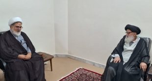 فقه باید پیش‌برنده قانون باشد، نه ناظر پسینی آن/ هشدار آیت‌الله مرتضوی شاهرودی به فرآیند تقنین